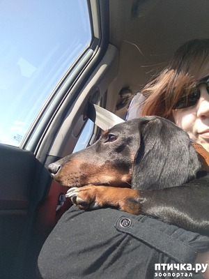 ����: ������� ��������� ����� � ������ � �������