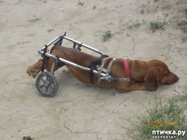 ���� 5: �������� � ����� �������