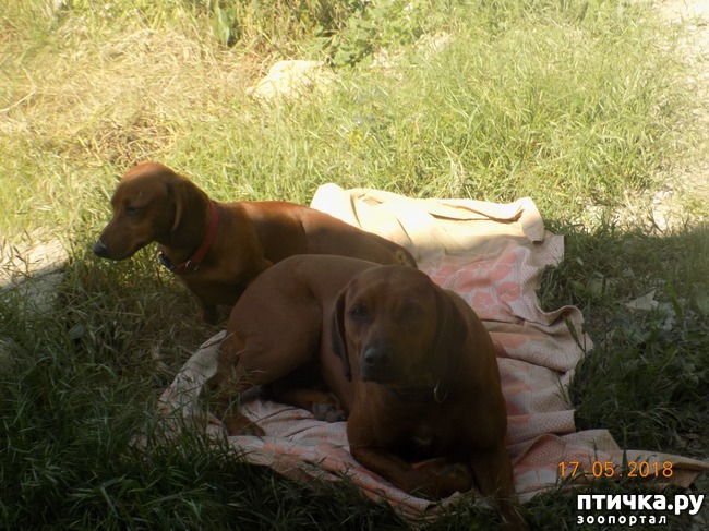 ���� 11: �������� � ����� �������