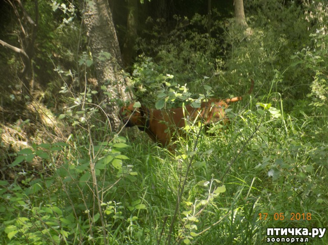 ���� 16: �������� � ����� �������