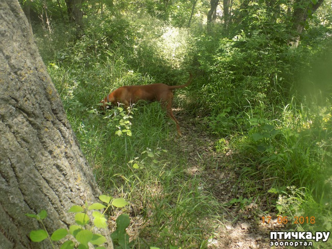 ���� 17: �������� � ����� �������