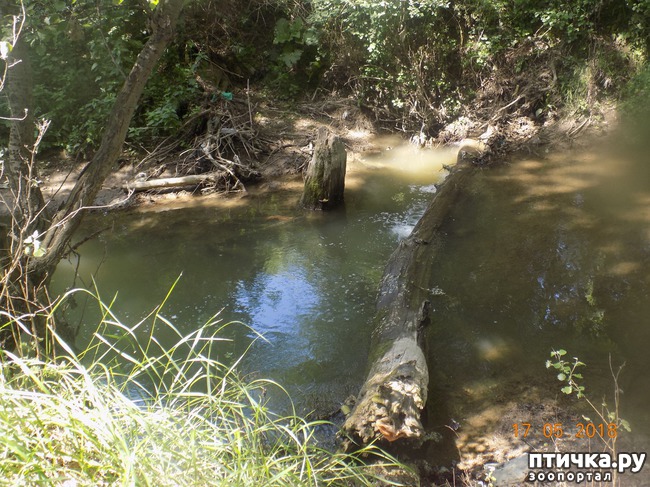 ���� 15: �������� � ����� �������