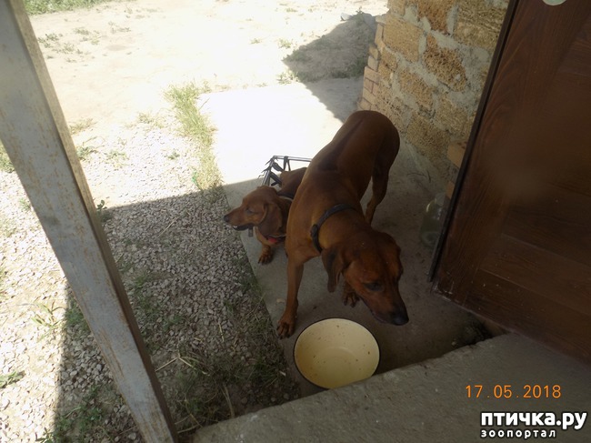 ���� 12: �������� � ����� �������