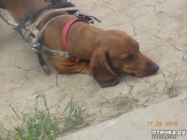 ���� 6: �������� � ����� �������