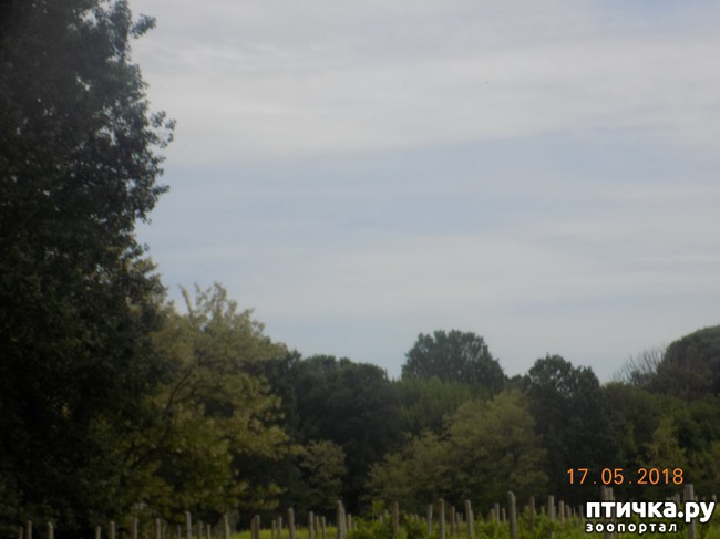 ���� 14: �������� � ����� �������