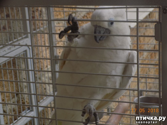 ���� 18: �������� � ����� �������