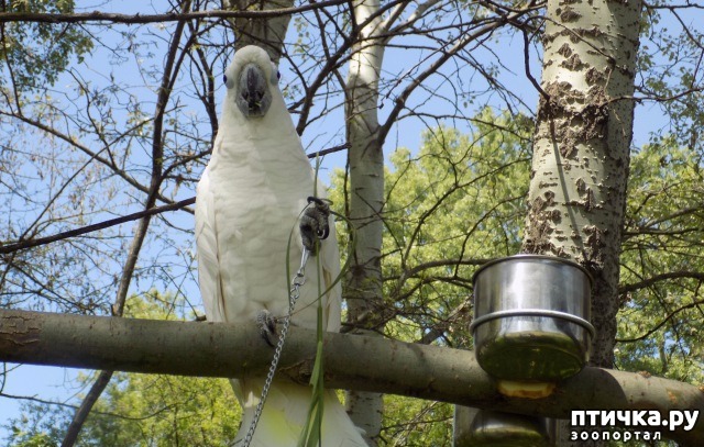 ���� 19: �������� � ����� �������