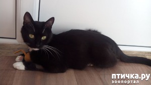 ����: ������ �� �������