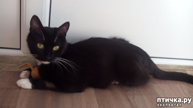 ���� 1: ������ �� �������