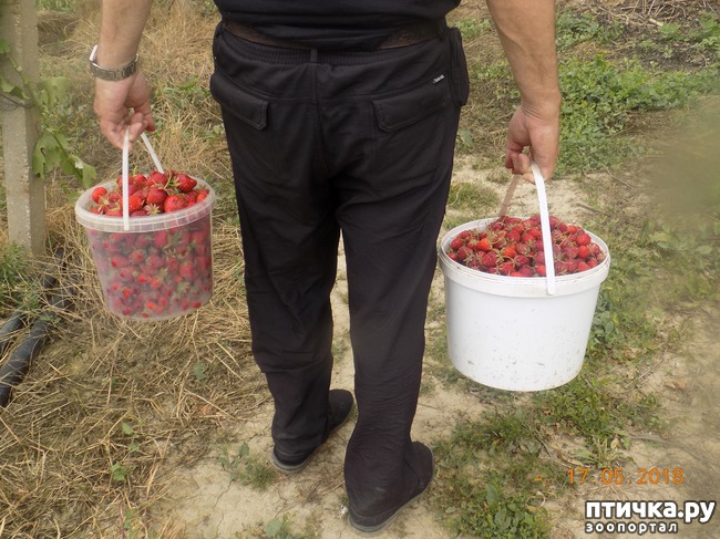 ���� 2: �������� � ����� �������