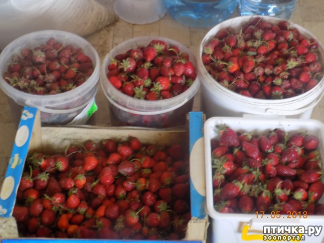 ���� 3: �������� � ����� �������