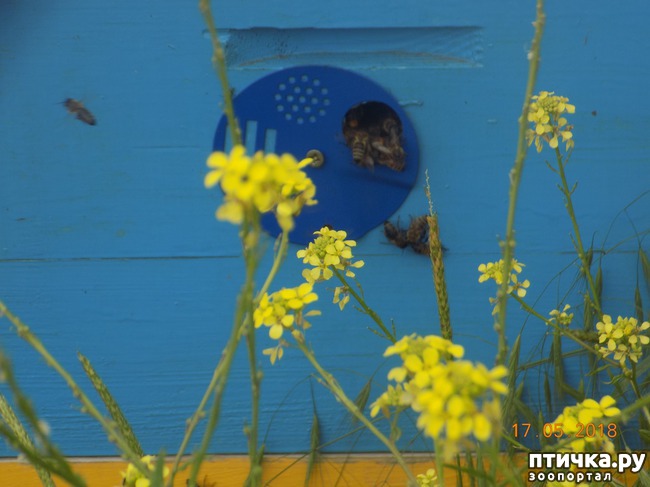 ���� 20: �������� � ����� �������