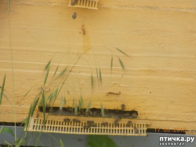 ���� 21: �������� � ����� �������