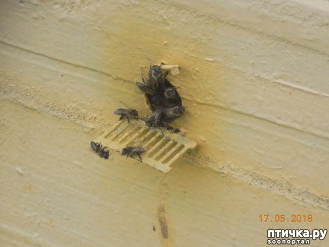 ���� 23: �������� � ����� �������