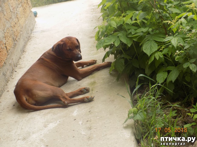 ���� 24: �������� � ����� �������