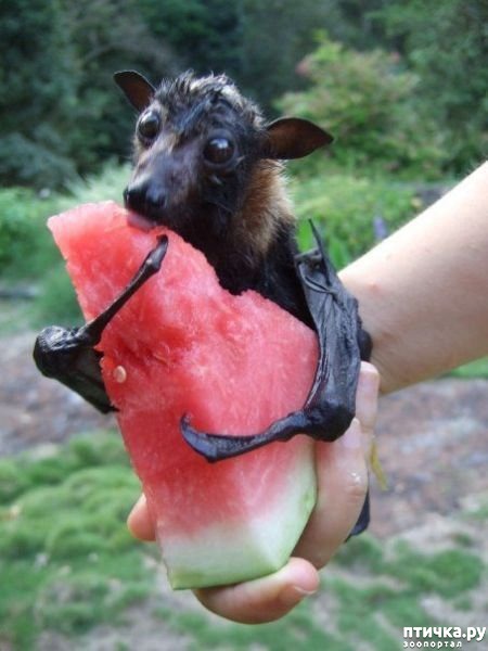 ���� 3: ����� ����, ������, ��������, �� ���������...