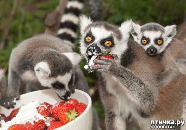 ���� 4: ����� ����, ������, ��������, �� ���������...