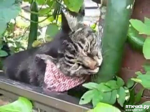 ���� 6: ����� ����, ������, ��������, �� ���������...