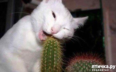 ���� 8: ����� ����, ������, ��������, �� ���������...