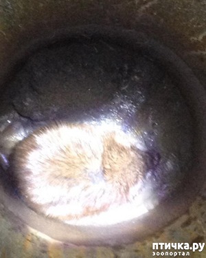 ����: �� � �����, �� � ������� ������