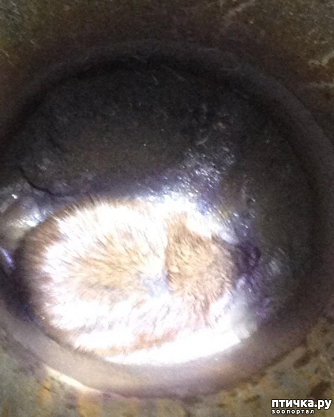 ���� 1: �� � �����, �� � ������� ������