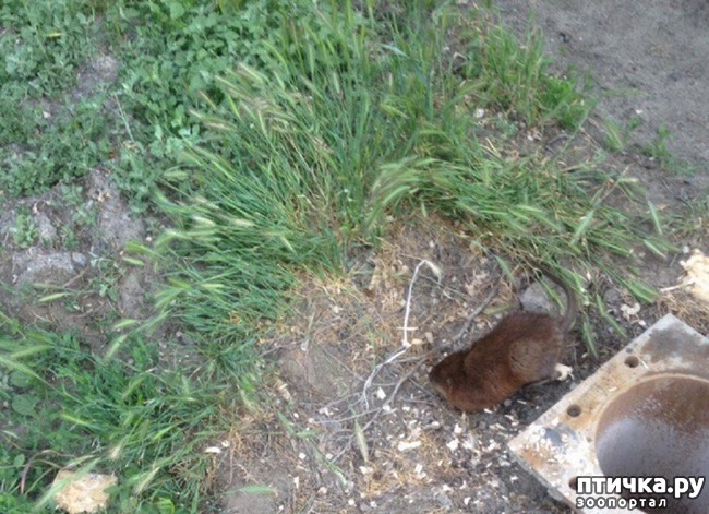 ���� 3: �� � �����, �� � ������� ������