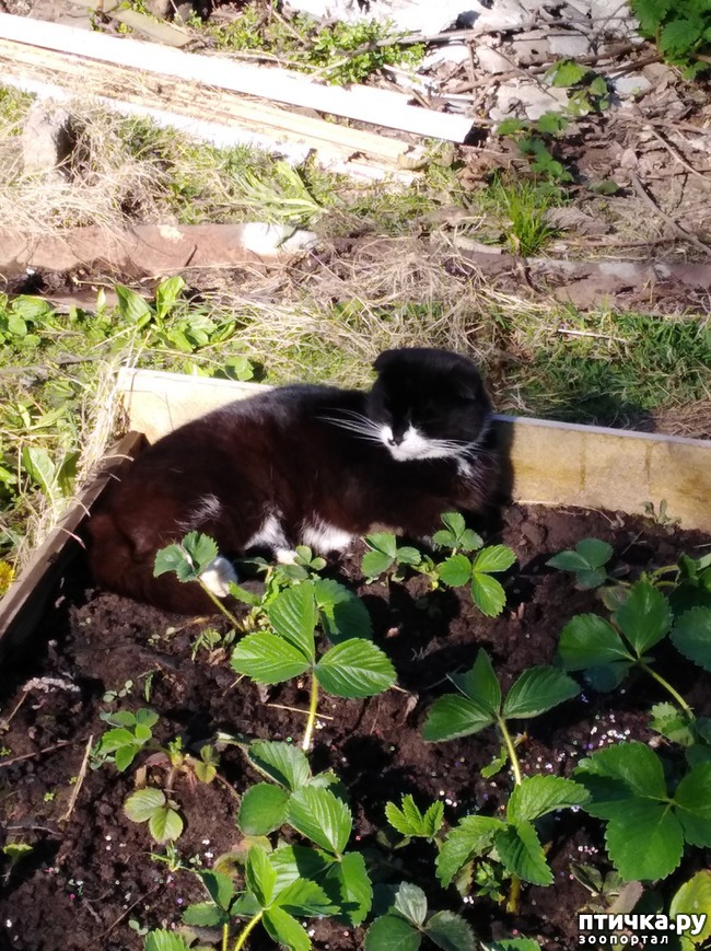 ���� 1: ��� ������