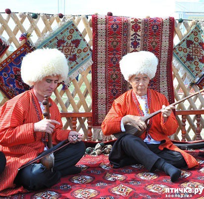 ���� 4: ���������. ��������� ��������� ������... (����)