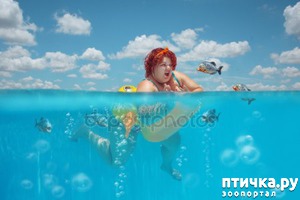 ����: ���������. ��������� ��������� ������... (����)