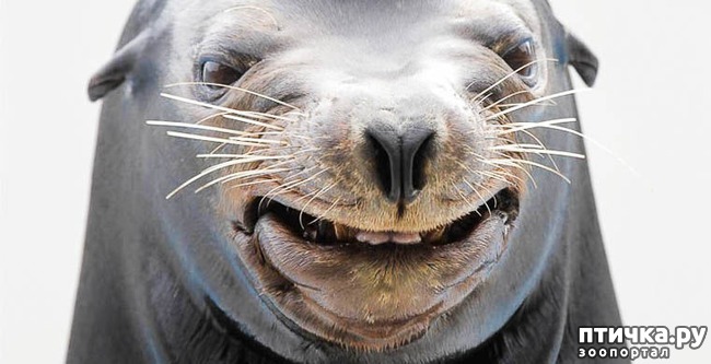 ���� 5: ���������. ��������� ��������� ������... (����)