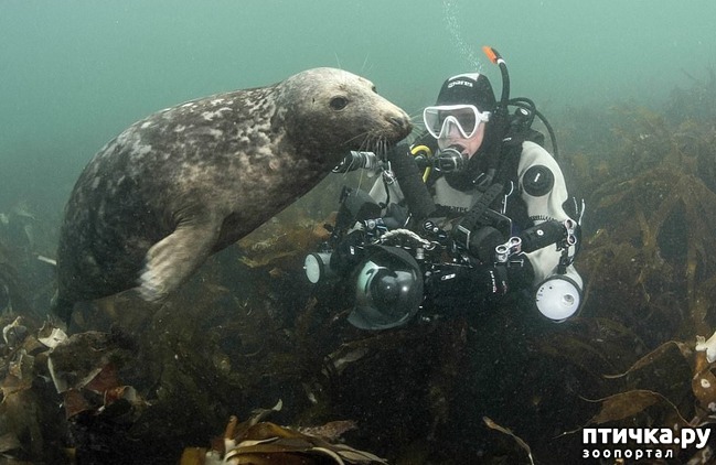 ���� 2: ���������. ��������� ��������� ������... (����)