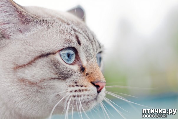 ���� 1: ������� �����