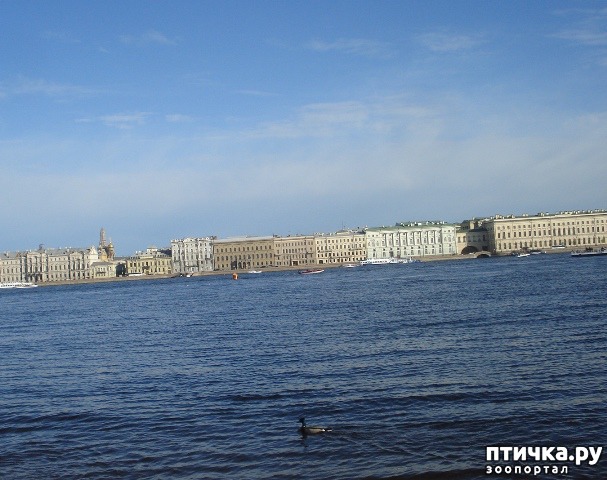 ���� 1: ��������� ��������