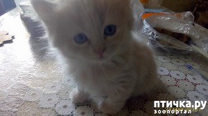 ����: ��� �� � ��������