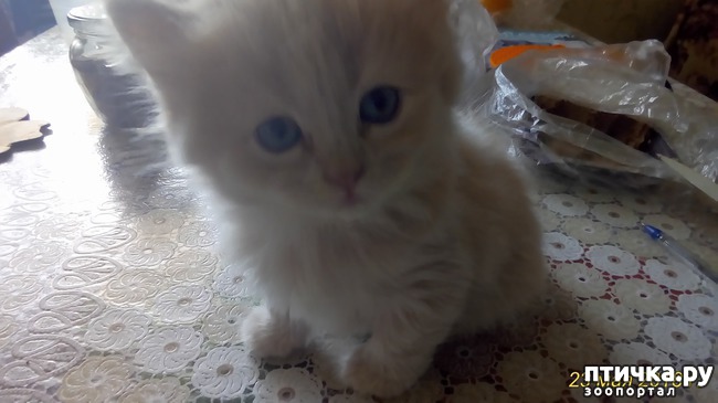 ���� 1: ��� �� � ��������