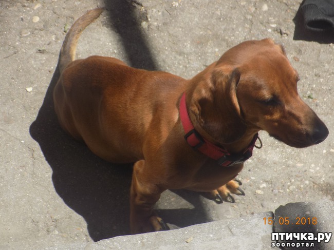 ���� 2: ������