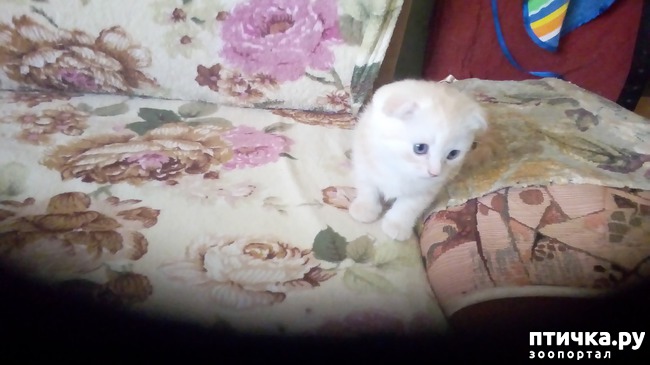 ���� 2: ��� �� � ��������