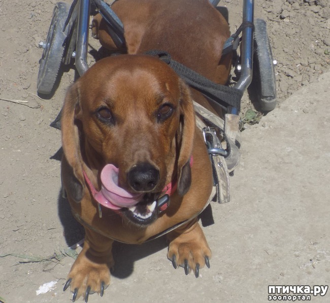 ���� 16: ������