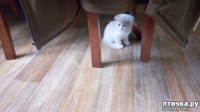 ���� 3: ��� �� � ��������