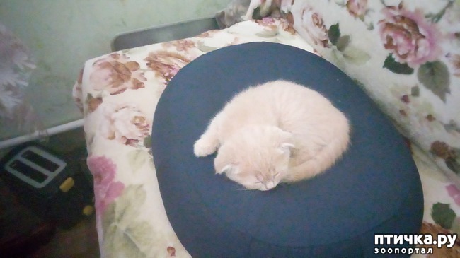 ���� 10: ��� �� � ��������