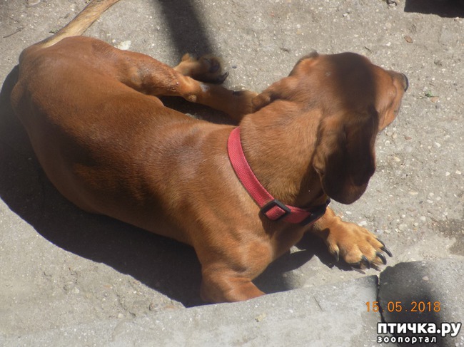 ���� 4: ������