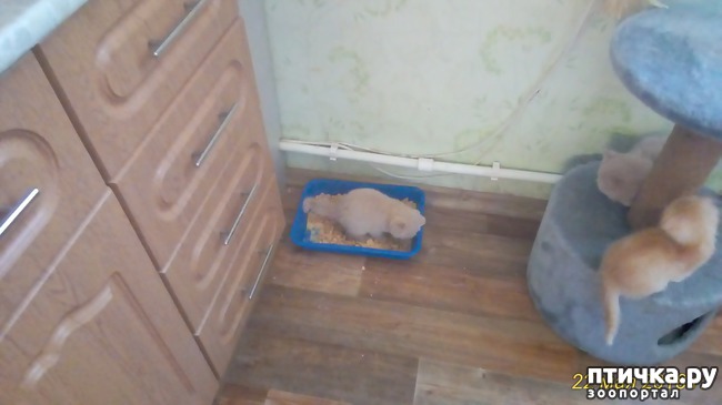 ���� 4: ��� �� � ��������