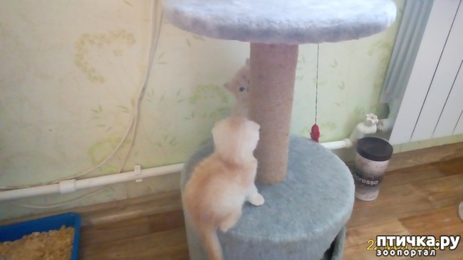 ���� 5: ��� �� � ��������