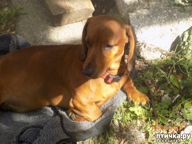 ���� 5: ������