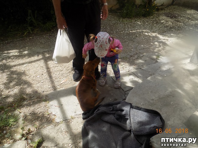 ���� 7: ������