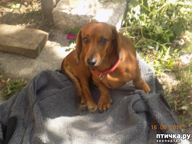 ���� 8: ������