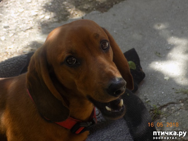 ���� 9: ������