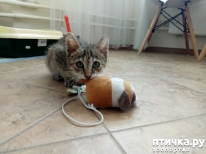 ����: �������� ������