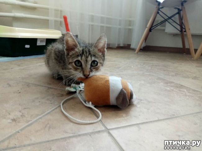 ���� 1: �������� ������