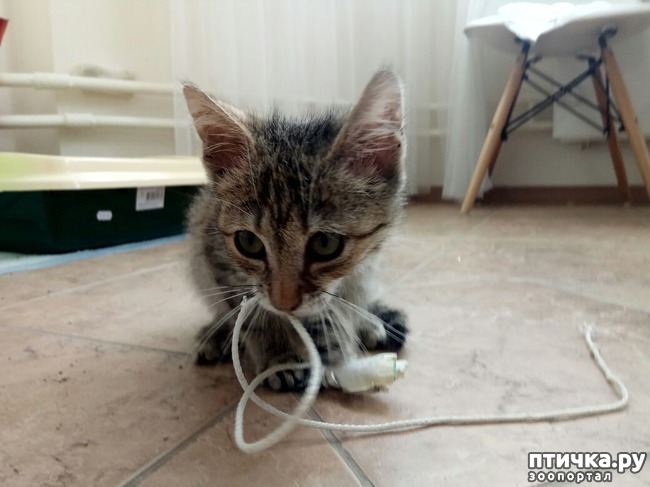 ���� 2: �������� ������